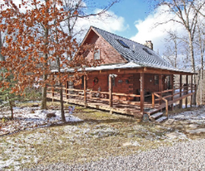 Bearadise cabin