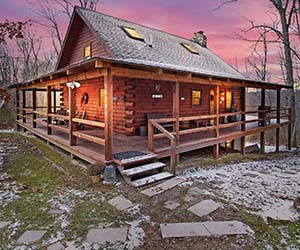 Bearadise cabin