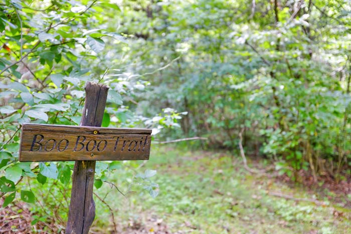 Bearadise Ridge Cabin — private walking trail and fire ring in the woods