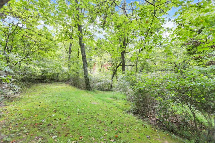 Bearadise Ridge Cabin — private walking trail and fire ring in the woods