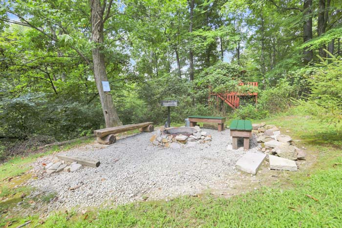 Bearadise Ridge Cabin — private walking trail and fire ring in the woods