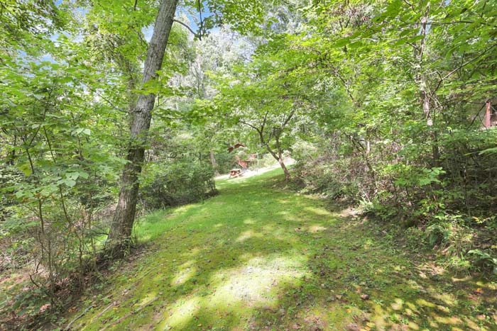 Bearadise Ridge Cabin — private walking trail and fire ring in the woods