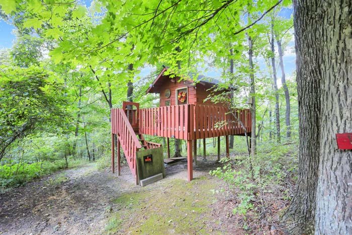 Bearadise Ridge Cabin — treehouse and wooded trail on the property