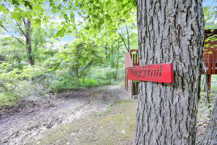Bearadise Ridge Cabin — treehouse and wooded trail on the property