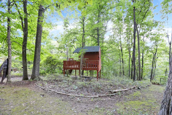Bearadise Ridge Cabin — treehouse and wooded trail on the property
