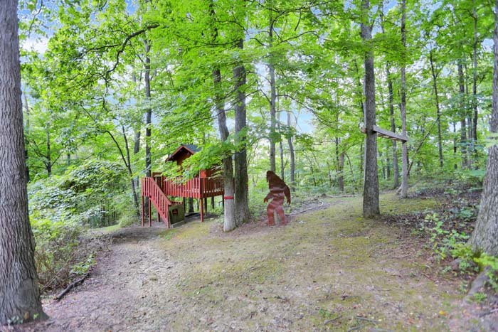 Bearadise Ridge Cabin — treehouse and wooded trail on the property