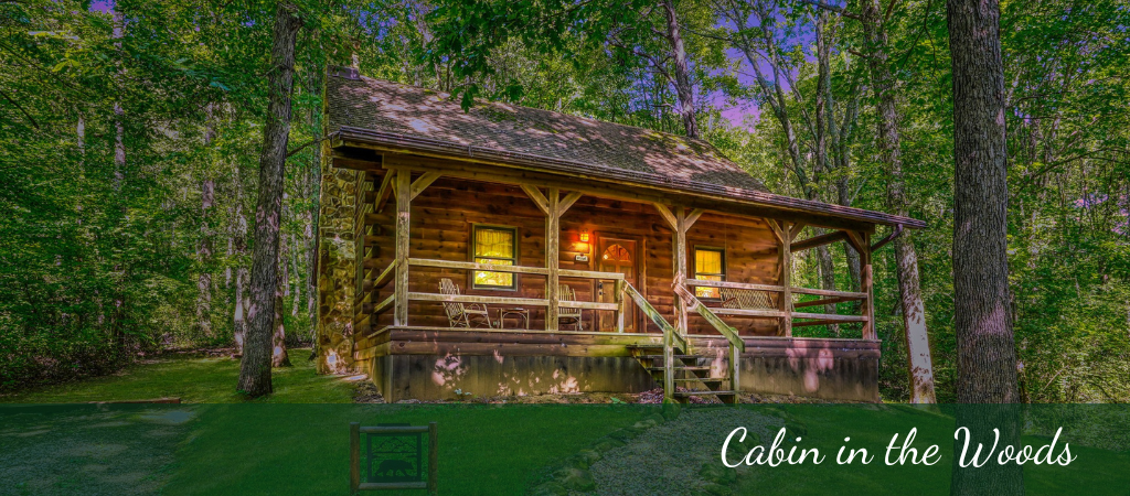 cabin surrounded by wooded area