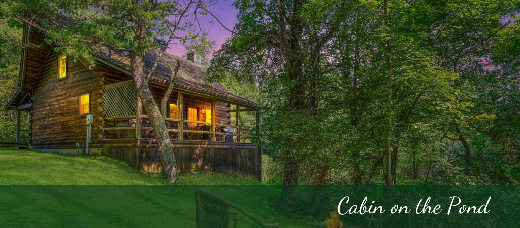 cabin set back with view of the pond