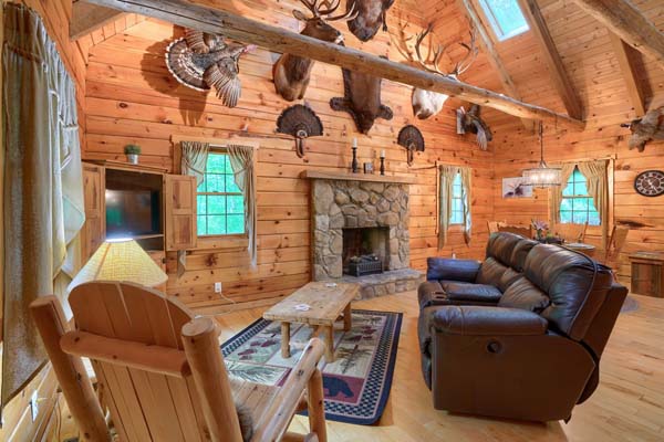 Cozy log cabin living room