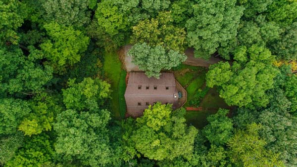 drone view with trees and cabin