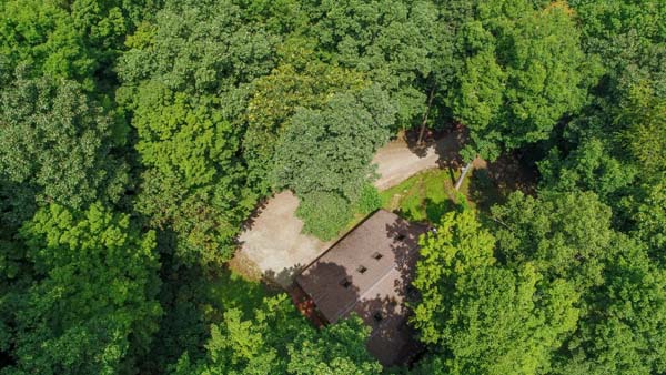 drone view of woods