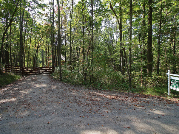 entrance drive, closed wooden gates, wooded area