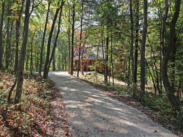 driveway leading to cabin, tall trees