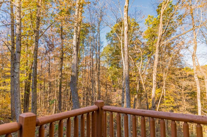 Linden Lane — Hocking Hills lodge, photo 21