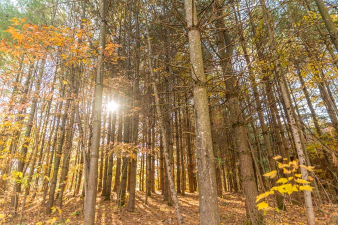 Linden Lane — Hocking Hills lodge, photo 77