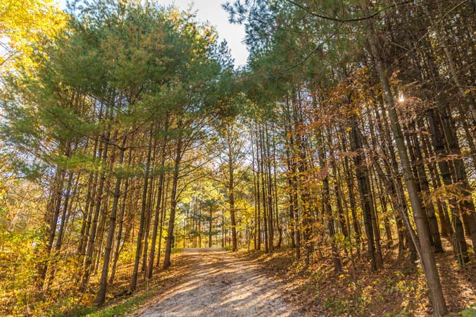 Linden Lane — Hocking Hills lodge, photo 78