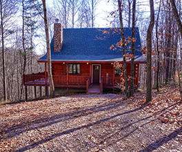cabin in woods