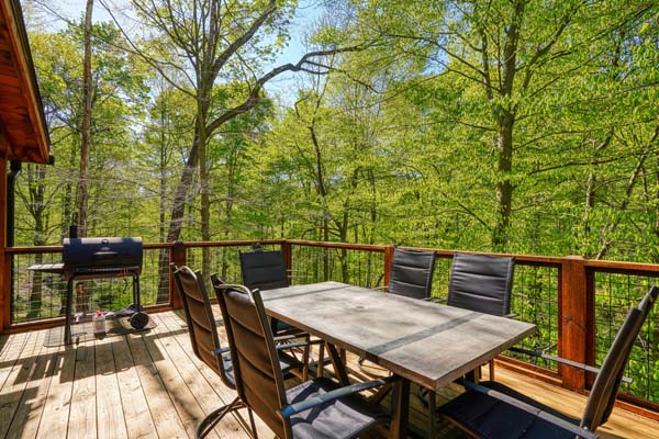 Panoramic views from the log cabin deck