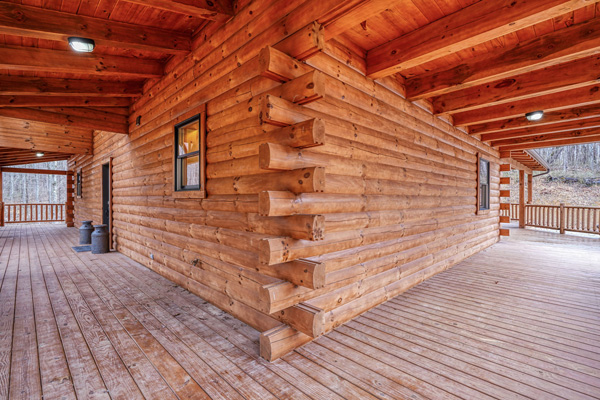 Surrounded by nature: Overbrook Lodge cabin