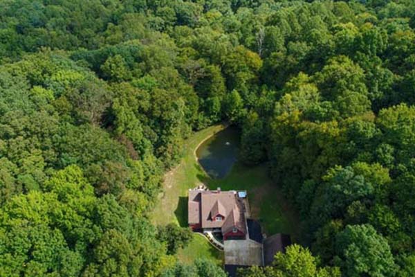 drone view of tree tops and house