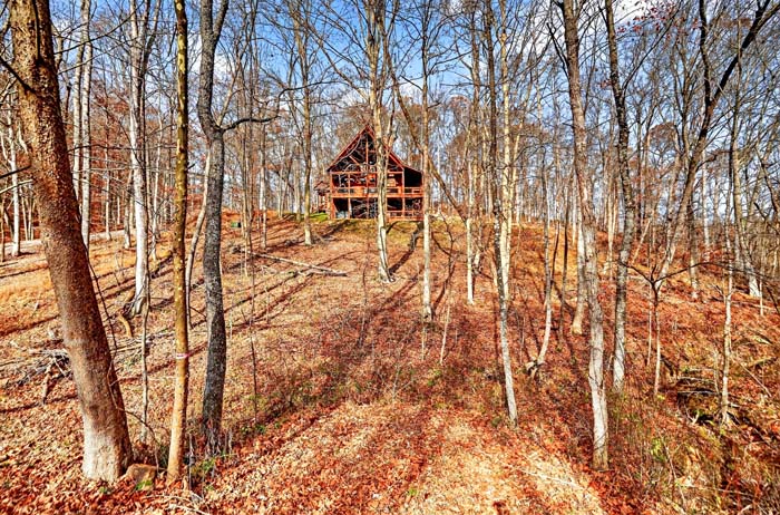 Shagbark-Hickory-Ridge-16