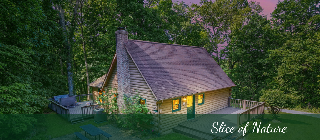 cabin in the woods located in hocking hills ohio