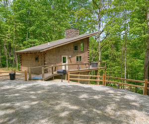 walkway leading up to cabin