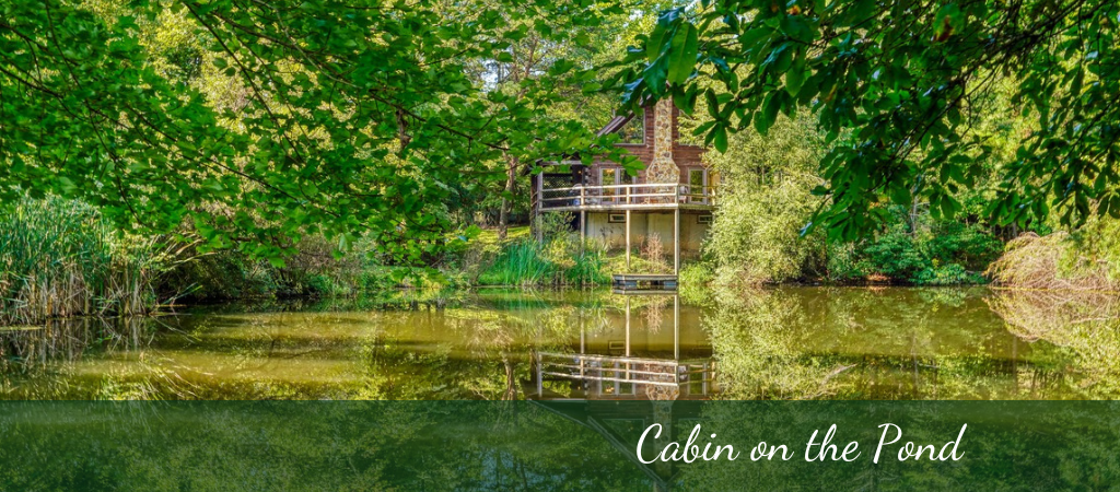 cabin set back with view of the pond