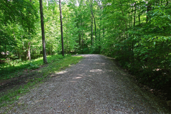 driveway to cabin