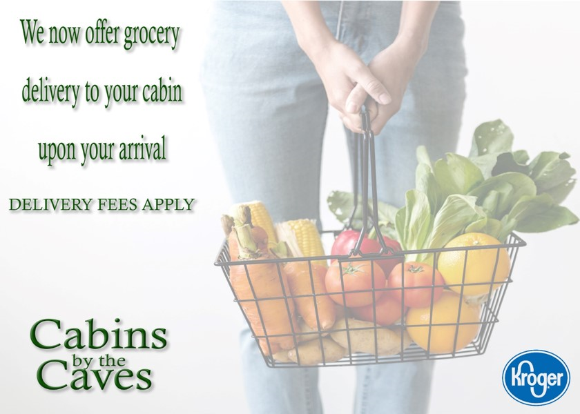 grocery delivery ad