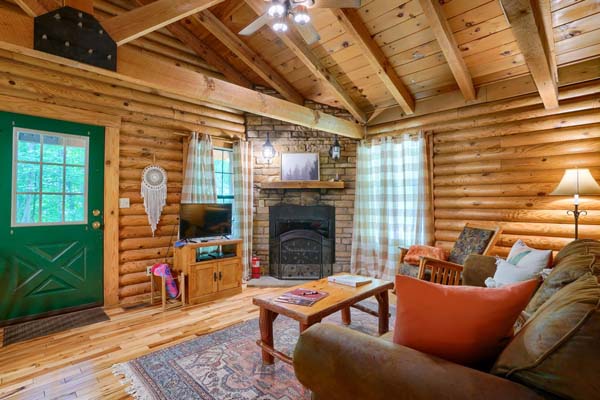 Rustic charm in the cabin's living room