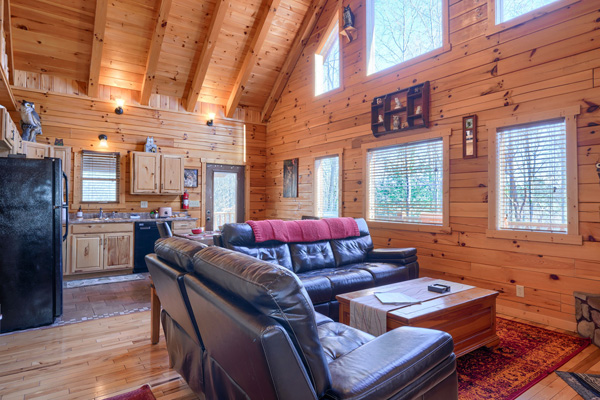 Idyllic nature retreat at Spotted Owl Cabin