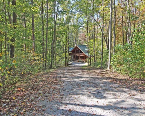wooded lot with cabin