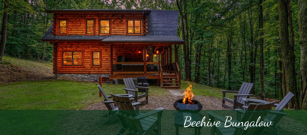 cabin in dark wooded area