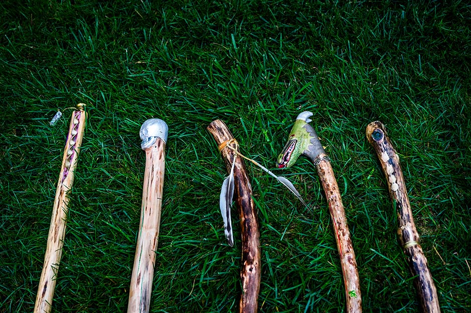 walking sticks